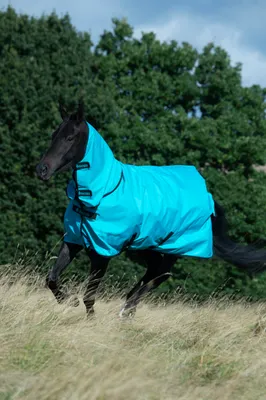 Produktbild von BUCAS Freedom Turnout light 0g Weidedecke/Regendecke sweet blue OHNE Halsteil, Buc17_Gr.:140cm