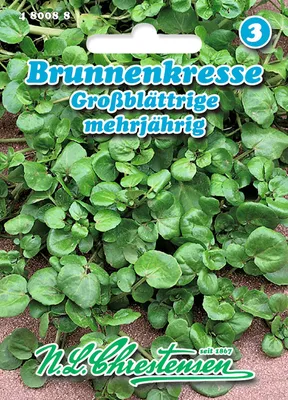 Produktbild von Brunnenkresse Großblättrige | Kressesamen von N.L. Chrestensen