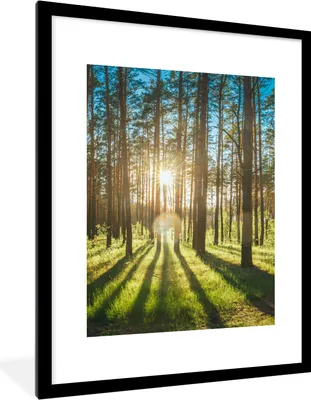 Produktbild von MuchoWow® Gerahmtes Poster Sonne - Bäume - Landschaft - Gras 60x80 cm - Poster mit Schwarzem Bilderrahmen Wandposter Rahmen Foto Bilder - Wohnzimmer - Dekorationen - Prämie