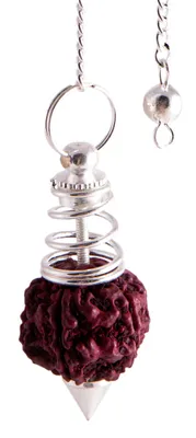 Produktbild von Pendel Rudraksha