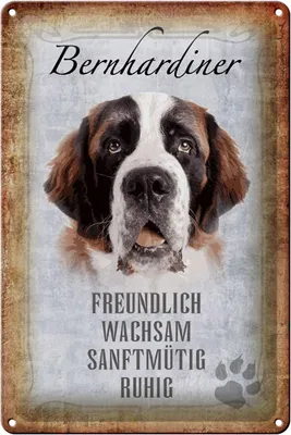 Produktbild von Blechschild Spruch 20x30cm Bernhardiner Hund Schild