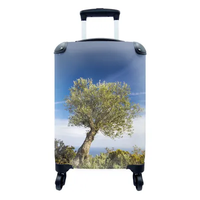 Produktbild von MuchoWow® Koffer Handgepäck Trolley Rollkoffer Kleine Reisekoffer mit 4 Rollen - Ein Olivenbaum unter blauem Himmel - Cabin Size < 55x40x23 cm & 55x40x20 cm - Fotokoffer - Kabinenkoffer - Boardgepäck - Reise-Box - Reisekoffer - Reisegepäck - Koffer mit Bild - Trolley für Kinder