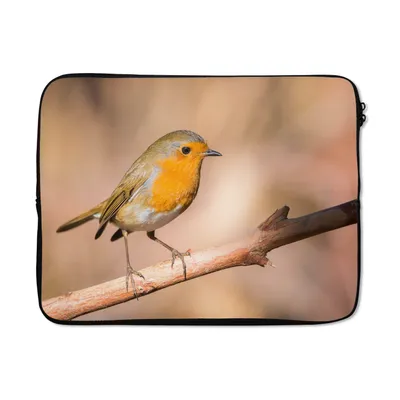Produktbild von MuchoWow® Laptop Hülle 15 Zoll Vogel - Zweig - Rotkehlchen Laptoptasche - Laptoptasche - Sleeve - Rundum-Schutz