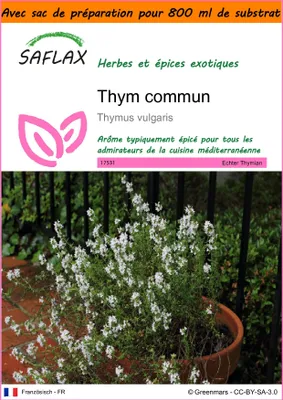 Image de SAFLAX Garden in the bag - Thym commun - 200 graines - Thymus