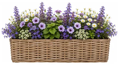 Produktbild von Mega Collections Pflanzenkorb Levi - Rattan - 50 x 15 x 17 cm