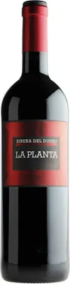 Produktbild von La Planta 2024 Ribera del Duero | Spanien | 14,5% vol | 0,75 l