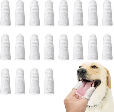 Produktbild von Herbruikbare vingerborstels voor hundenzahnhygiene und Katzenzahnhygiene