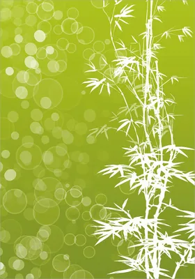 Produktbild von Wallario Poster - Bambusmuster grün-weiß, Kunstdruck Größe: 70 x 100 cm