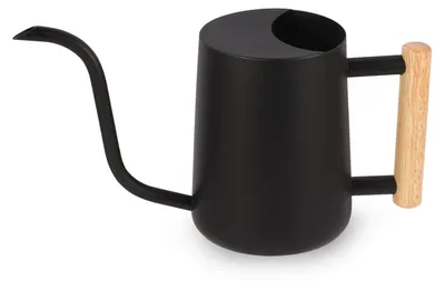 Produktbild von Moderne Gießkanne für Zimmerpflanzen 1L aus Edelstahl