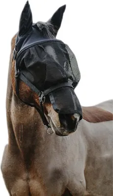 Obrázek produktu pro Equitheme Mask Ohlávka černá Cob černá Cob