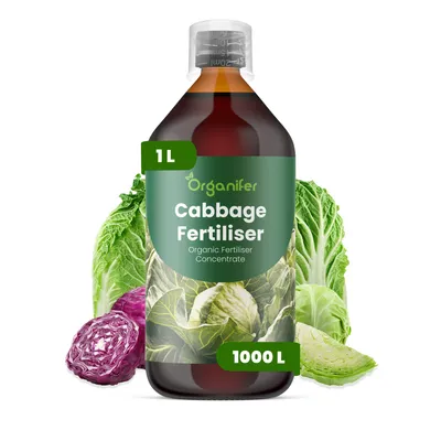 Produktbild von Kohldünger Flüssig 1L – 3-4-3 NPK – Flüssigdünger Für Gemüse & Kohlpflanzen – Für Kräftige Köpfe & Blätter – Fördert Wurzeln & Vitalität – Organifer