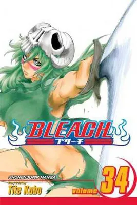 Image de Bleach, Vol. 34