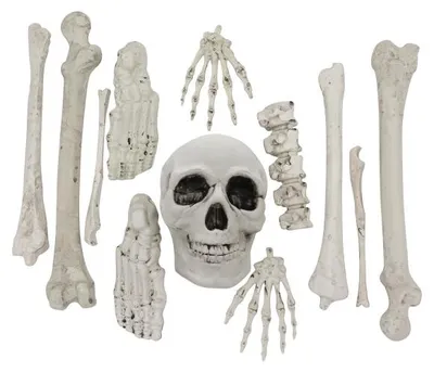 Productafbeelding van Halloween deco set beenderen - Skelet 12 delig