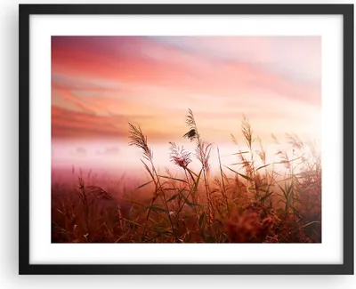 Produktbild von Gerahmtes Poster - Schwarzer Rahmen - Wiese Getreide Natur - 50x40 cm - Wand Bild - Wanddeko - Wandbilder - Kunstposter - Wandposter - Bilderrahmen - Bilder - Kunstdruck - Wandbild - P2BAA50x40-3530