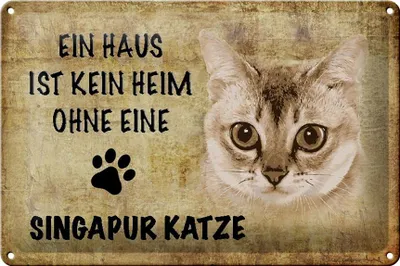 Produktbild von Blechschild Spruch 30x20cm Singapur Katze ohne kein Heim