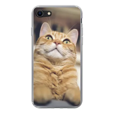 Produktbild von MuchoWow® Handyhülle Schutzhülle Hülle für iPhone 7 Katze - Bank - Orange Silikon Softcase Handy Hülle - Kartenhalter