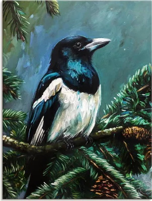 Produktbild von ARTland Leinwandbild Die Elster im Tann Größe: 60x80 cm