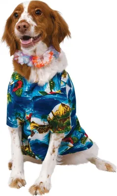 Produktbild von Bristol Novelty - "Luau" Hundekostüm BN5009 (M) (Bunt)