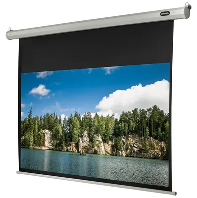 Produktbild von Celexon 1090081, 16:9, Schwarz, Weiß