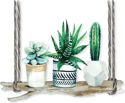 Produktbild von Fenster-Aufkleber Hänge-Pflanzen mit Ast auf klarer Folie I Fenster-Bild Set I Blumen l Glas-Aufkleber I Doppelseitig und selbstklebend I Vogelschutz I dv_1048