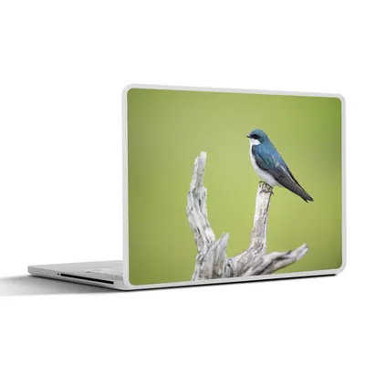 Produktbild von MuchoWow® Laptop Aufkleber Sticker Cover Vogel - Zweig - Grün 32.5x23.5 cm - Sticker für Laptop - Selbstklebend
