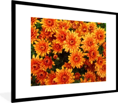 Produktbild von MuchoWow® Gerahmtes Poster Blumen - Orange - Chrysantheme 80x60 cm - Poster mit Schwarzem Bilderrahmen Wandposter Rahmen Foto Bilder - Schlafzimmer-Dekorationen - Fotoposter