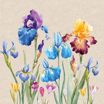 Produktbild von 20 Servietten nachhaltig Iris - Bunte Irisblumen 33x33cm
