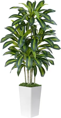Zdjęcie produktu dla Sztuczna roślina Dracaena, wysokość 150 cm, z liśćmi, idealna do salonu i biura
