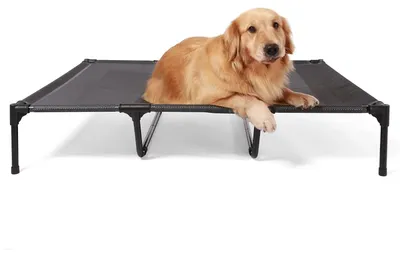 Image de Lit pour grands chiens, surélevé, pour usage extérieur