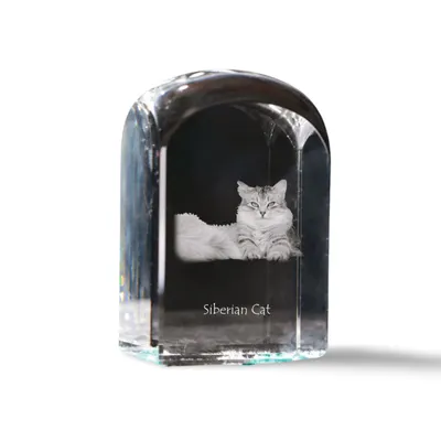 Imagen del producto de Art-Dog Pisapapeles – Gato Siberiano