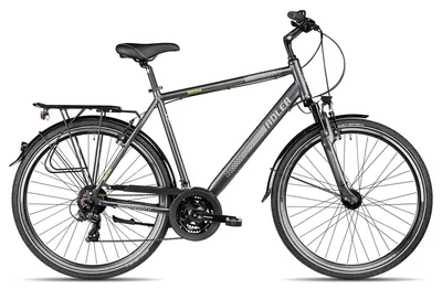 Produktbild von Adler Verona vielseitiges Herren-Trekkingbike mit Straßenausstattung 28 Zoll Schwarz 58 cm