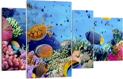 Produktbild von Bild auf Leinwand - Leinwandbild - Korallenriff - 120x70cm - Wand Bild - Wanddeko - Wandbilder - Leinwanddruck - Bilder - Kunstdruck - Wanddekoration - Leinwand bilder - Wandkunst - DL120x70-3569