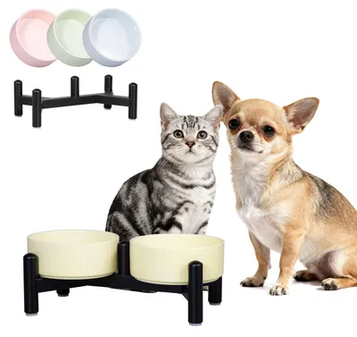 Image de Ensemble de gamelles surélevées pour chiens et chats, avec support en acier inoxydable