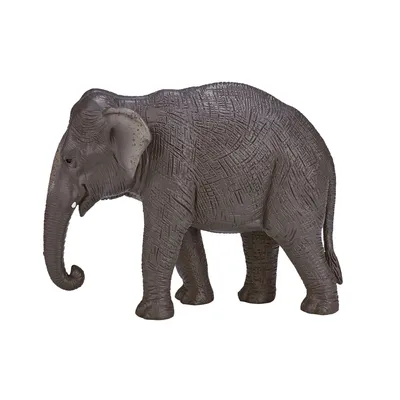 Zdjęcie produktu dla Mojo Fun Asian Elephant, 3 lat(a), Wildlife, Szary, Biały, Polichlorek winylu (PVC)