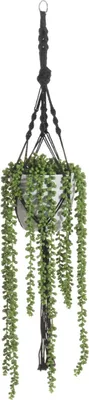 Image de Plante artificielle suspendue