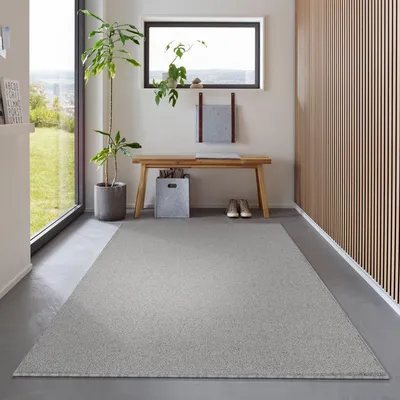 A modern entryway with a light gray rug, a wooden bench, a potted plant, and a window.