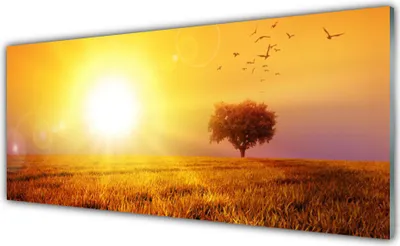 Produktbild von Acrylglasbilder 125x50 Wandbild Druck Sonne Wiese Landschaft