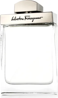 Zdjęcie produktu dla Salvatore Ferragamo Pour Homme EDT 100 ml M