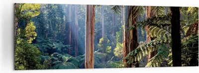 Produktbild von Bild auf Leinwand - Leinwandbild - Einteilig - Morgendämmerung Bäume Wald - 160x50cm - Wand Bild - Wanddeko - Wandbilder - Leinwanddruck - Bilder - Wanddekoration - Leinwand bilder - AB160x50-4403