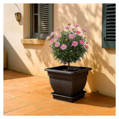 Produktbild von 3er Set Pflanzkübel Groß Außen, XL Blumentopf mit Wasserspeicher Gross 48x48 cm, Pflanzentopf und Untersetzer, Pflanzkübel Kunststoff, Blumenkübel Pflanztöpfe Blumentöpfe DE, Anthrazit