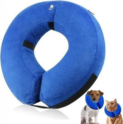 Image de Collier de protection gonflable - XL - Collier de protection pour animaux - pour chiens/chats - pour la cicatrisation des plaies - réglable - évite les infections par griffures et morsures