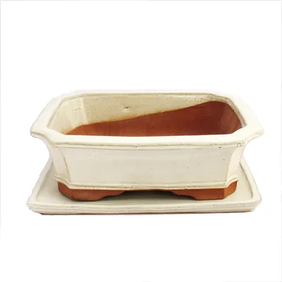 Image de bol bonsaï avec soucoupe taille 5 - beige clair - carré - modèle g4 - l 31cm - b 23cm - h 9,5 cm