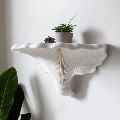 Schmetterlingstrameten-Wandregal – Decords Wandregal, Produktansicht 1