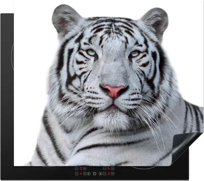 Produktbild von KitchenYeah© Herdabdeckplatte Tiger - Weiß - Tiere , 60x52cm, Küche Deko, Glaskeramikkochfeld Herdabdeckung, Abdeckplatte fùr Kochfeld