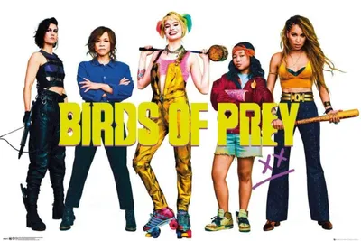 Produktbild von Poster Birds of Prey Group 91.5x61cm