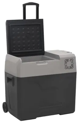 Produktbild von Kühlbox mit Rollen und Adapter - 50 l Camping Kühlbox - Polypropylen - Armeegrün