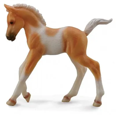 Zdjęcie produktu dla Figurka kolekcjonerska Collecta Źrebię Pinto Palomino