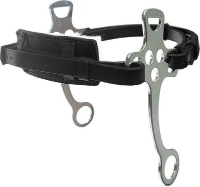 Image de Blenheim - Bride Hackamore "English" ER234 (Taille unique) (Noir)