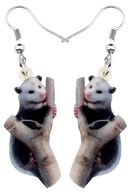 Immagine prodotto di Orecchini pendenti in acrilico a forma di opossum, gioielli da donna e ragazza, colore marrone, dimensioni 34x28 mm