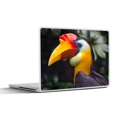 Produktbild von MuchoWow® Laptop Aufkleber Sticker Cover Vogel - Hornvogel - Regenwald 30x22 cm - Laptop-Sticker